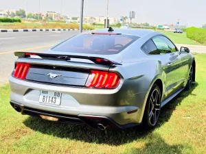 2020 Ford Mustang