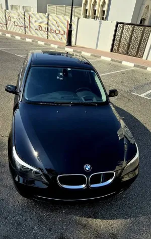 2010 BMW 5-Series