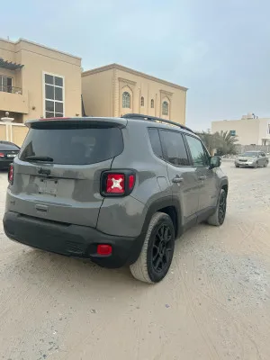 2020 Jeep Renegade