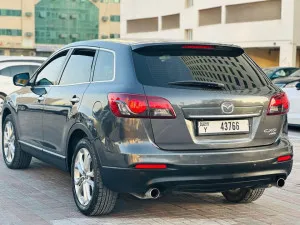 2013 Mazda CX-9