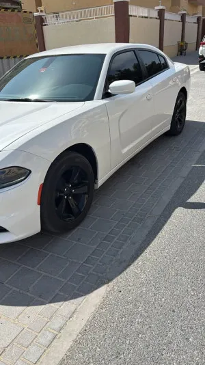 2019 دودج شارجر