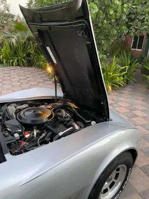 1981 Chevrolet Corvette