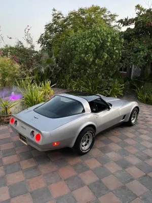 1981 Chevrolet Corvette