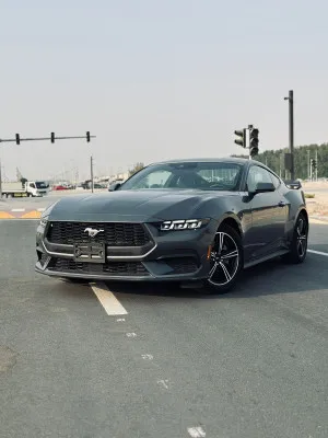 2024 Ford Mustang in dubai