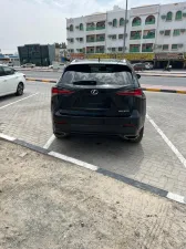 2019 Lexus NX