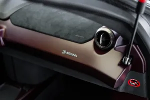 2019 McLaren SENNA