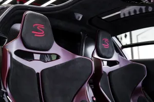 2019 McLaren SENNA