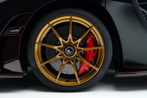 2019 McLaren SENNA
