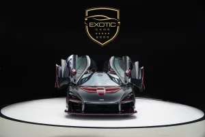 2019 McLaren SENNA
