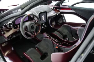 2019 McLaren SENNA