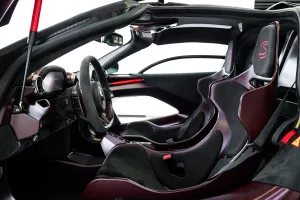 2019 McLaren SENNA
