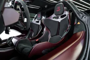 2019 McLaren SENNA