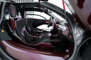 2019 McLaren SENNA