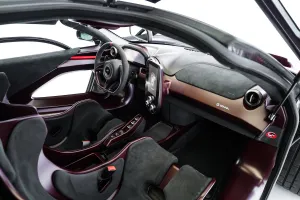 2019 McLaren SENNA