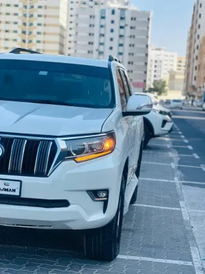 2013 Toyota Prado