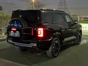 2025 بي واي دي ليوبارد