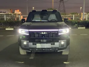 2025 بي واي دي ليوبارد