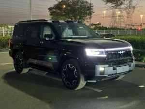 2025 بي واي دي ليوبارد