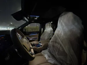 2025 بي واي دي ليوبارد
