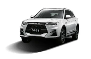2020 Dorcen G70S in dubai