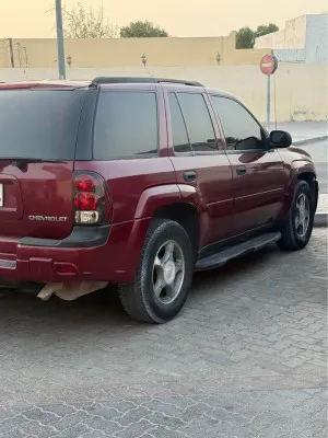 2008 Chevrolet Trailblazer