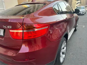 2010 BMW X6