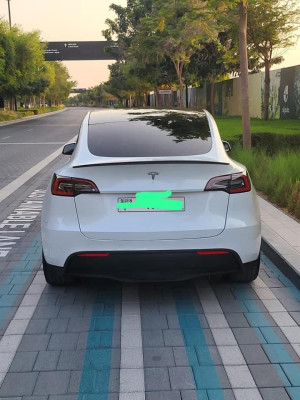 2020 Tesla Model Y in dubai