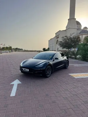 2019 تسلا موديل 3 in dubai