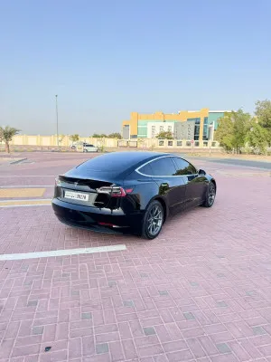 2019 تسلا موديل 3