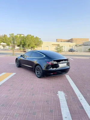 2019 تسلا موديل 3