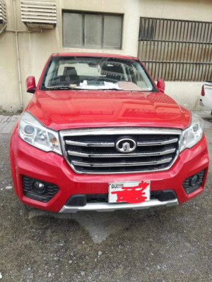 2019 Great Wall Wingle 7 