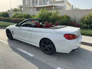 2014 بي أم دابليو الفئة - 4 