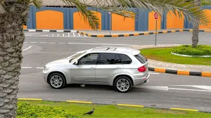 2013 BMW X5