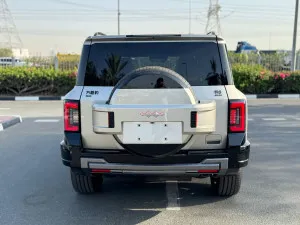 2025 بي واي دي ليوبارد