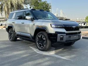 2025 بي واي دي ليوبارد