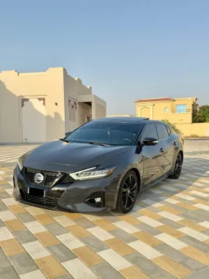 2021 نيسان ماكسيما in dubai