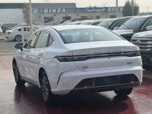 2025 BYD destroyer 05