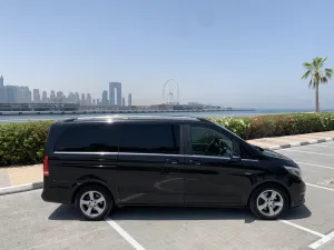2014 Mercedes-Benz V-Class