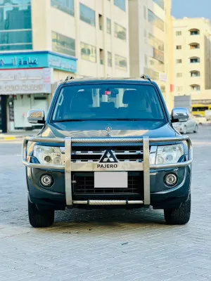 2013 Mitsubishi Pajero