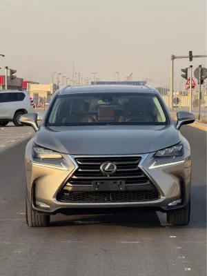 2015 Lexus NX