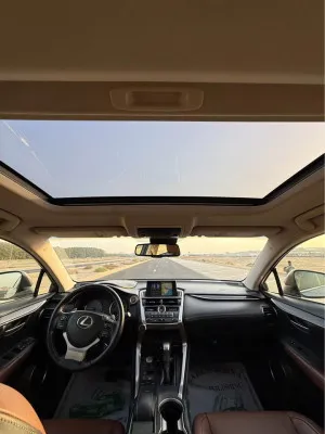 2015 Lexus NX