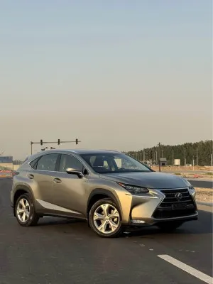 2015 Lexus NX