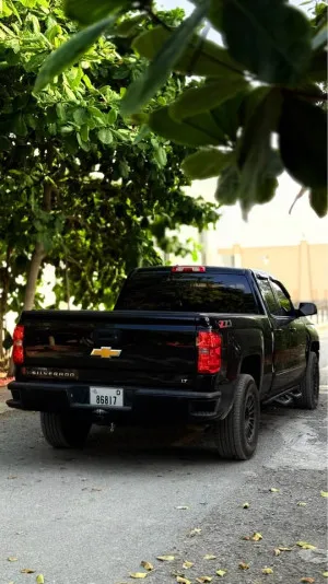2017 Chevrolet Silverado