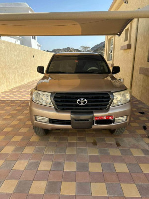 2010 Toyota Land Cruiser