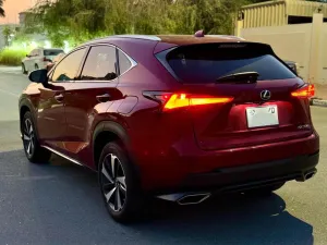 2021 Lexus NX