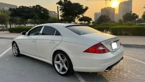 2010 Mercedes-Benz CLS