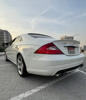 2010 Mercedes-Benz CLS