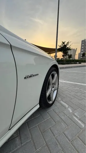 2010 Mercedes-Benz CLS