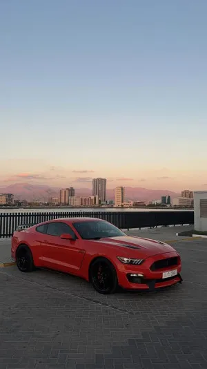 2015 Ford Mustang
