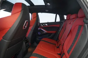 2024 BMW X6